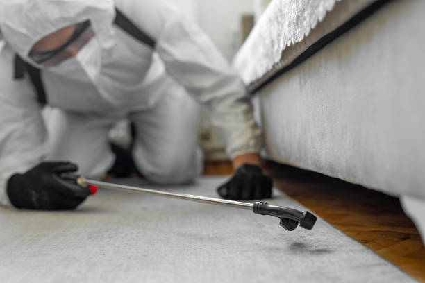 Professional Termite Control technician working in San Juan County County, NM